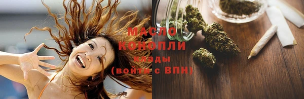 гидра Бронницы