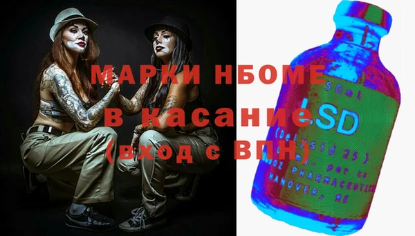 гашик Бородино