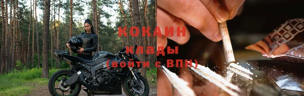 гашик Бородино