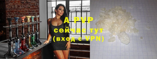 гашик Бородино