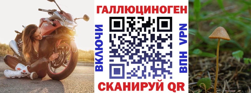 Галлюциногенные грибы Psilocybine cubensis Венёв