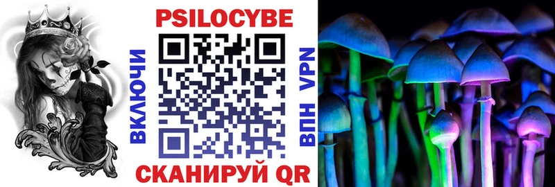 Галлюциногенные грибы MAGIC MUSHROOMS  как найти наркотики  Венёв 